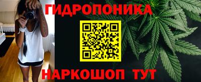 винт Тара