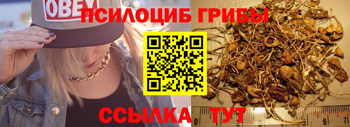 Новочеркасск  купить наркоту  Вход с VPN  Псилоцибиновые грибы прущие грибы 