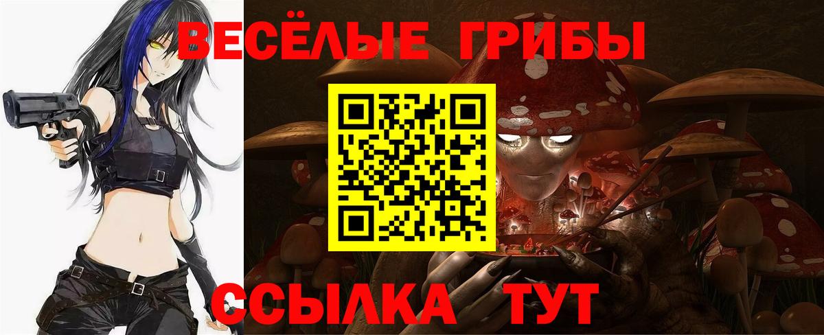 Псилоцибиновые грибы мухоморы Новочеркасск